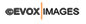 evoxLogo
